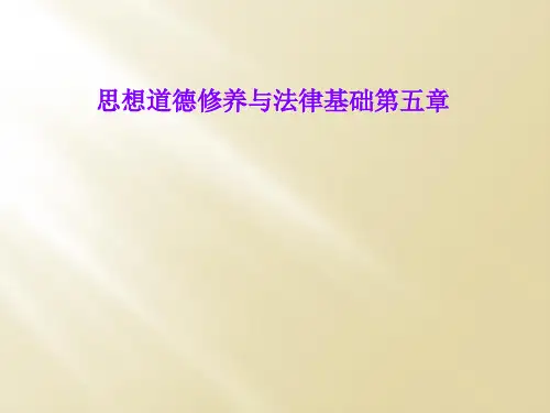 思想道德修养与法律基础第五章