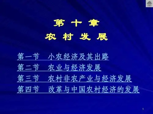 发展经济学10