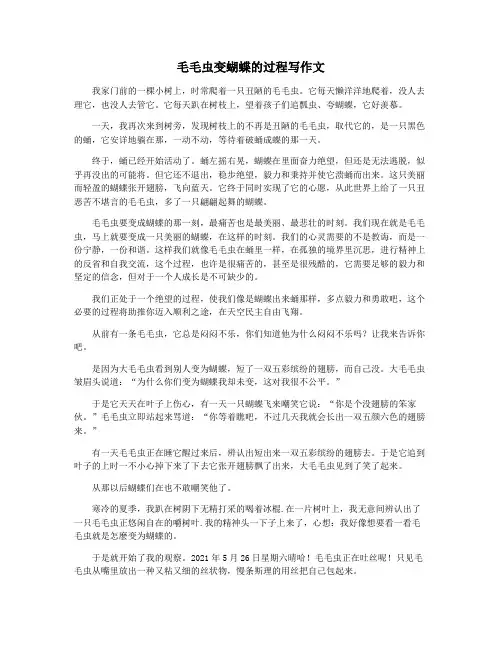 毛毛虫变蝴蝶的过程写作文
