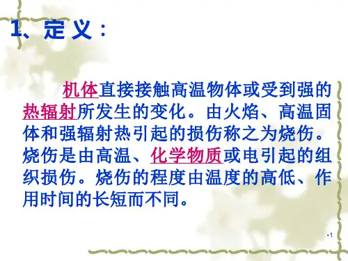 烧伤伤员的护理演示PPT