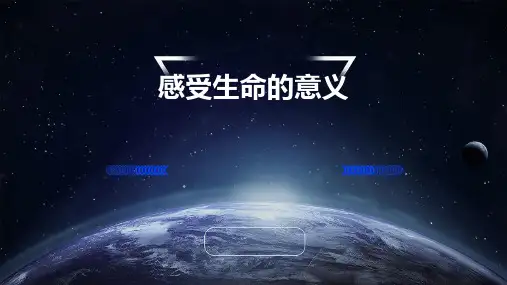 感受生命的意义ppt课件