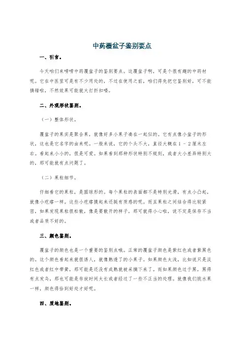 中药覆盆子鉴别要点