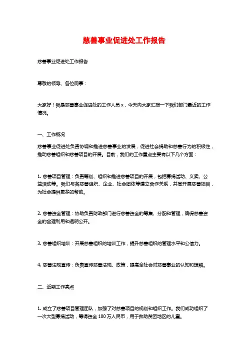 慈善事业促进处工作报告