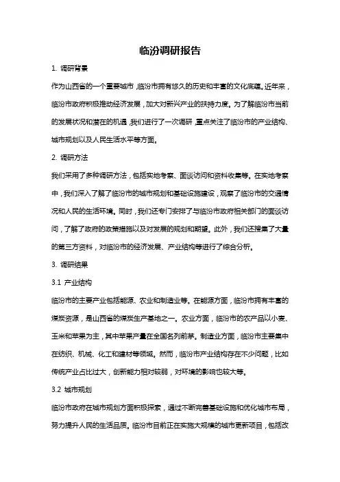 临汾调研报告