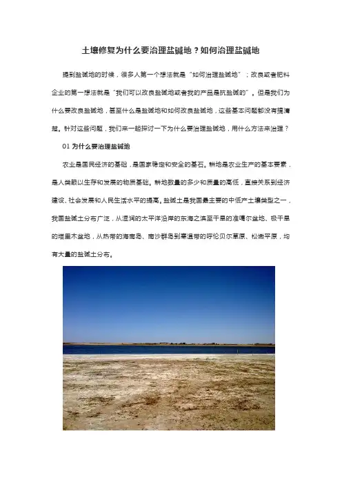 土壤修复为什么要治理盐碱地？如何治理盐碱地