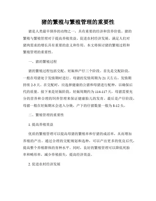 猪的繁殖与繁殖管理的重要性