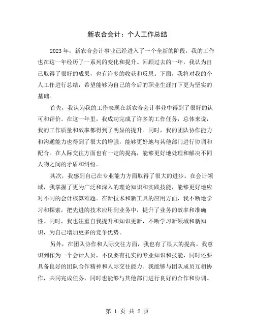 新农合会计：个人工作总结