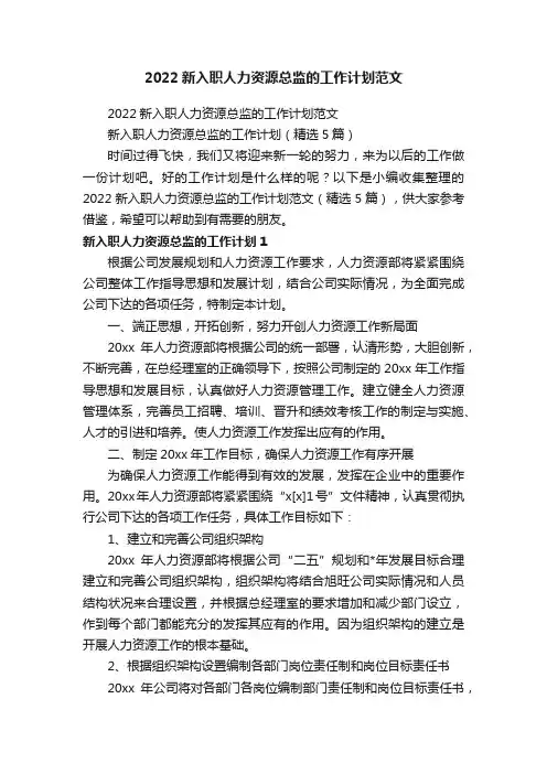 新入职人力资源总监的工作计划（精选5篇）