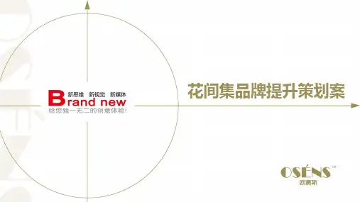 欧赛斯卫生纸品牌定位差异锁定营销创意策划方案案例模板