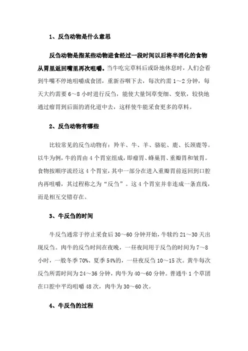 反刍动物是什么意思