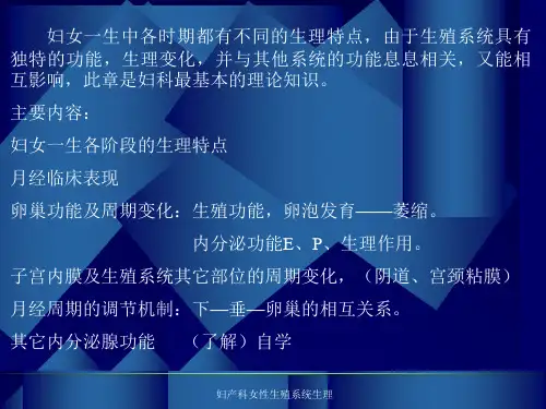 妇产科女性生殖系统生理课件
