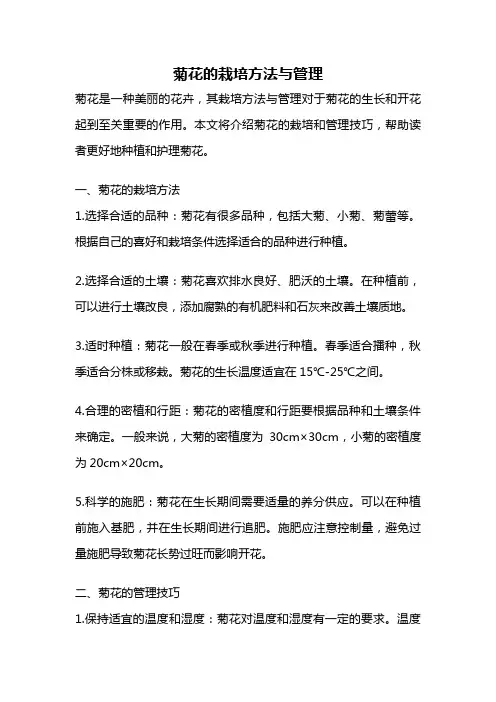 菊花的栽培方法与管理