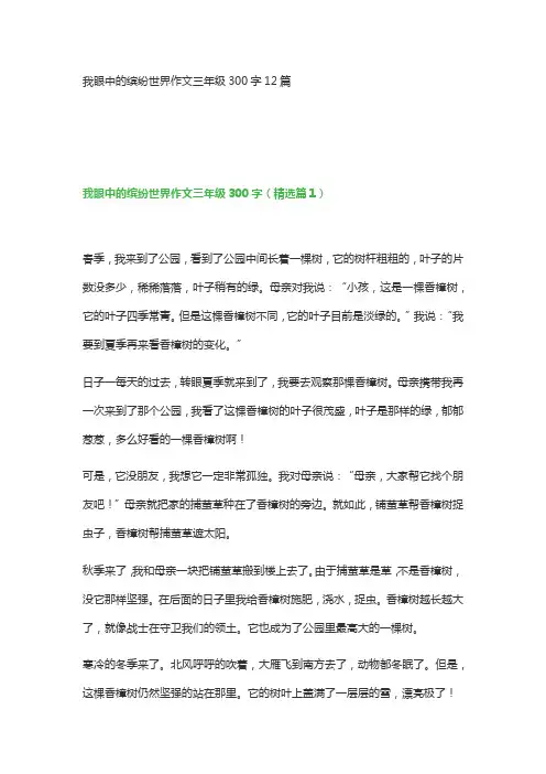 我眼中的缤纷世界作文三年级300字12篇