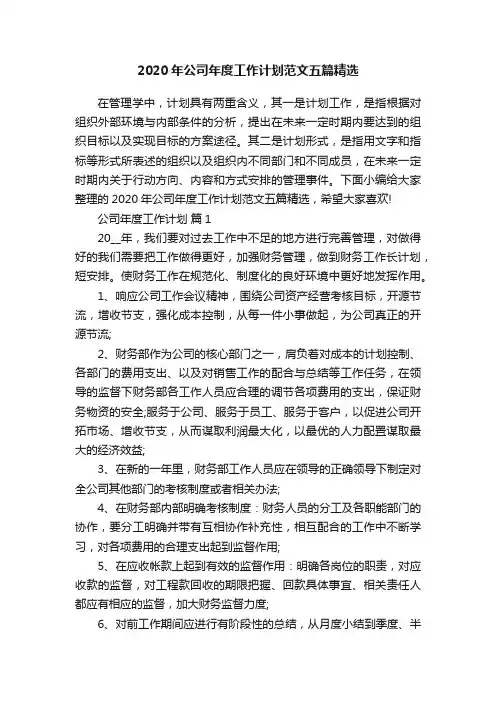 2020年公司年度工作计划范文五篇精选
