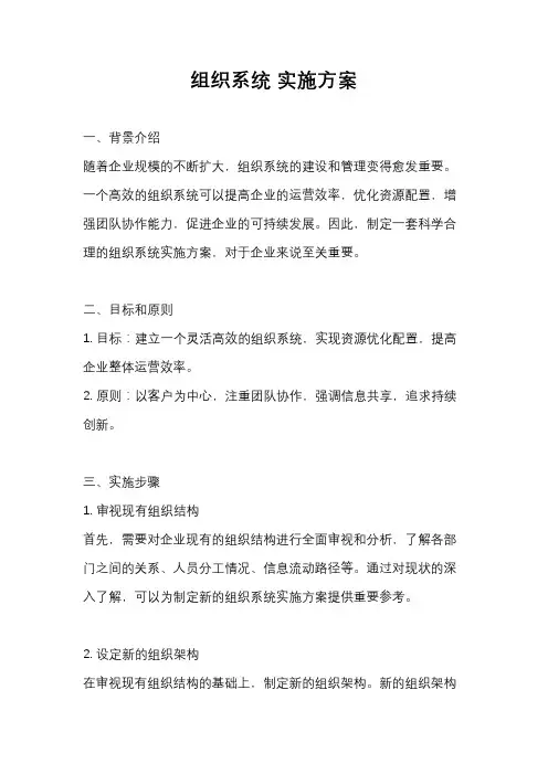 组织系统 实施方案