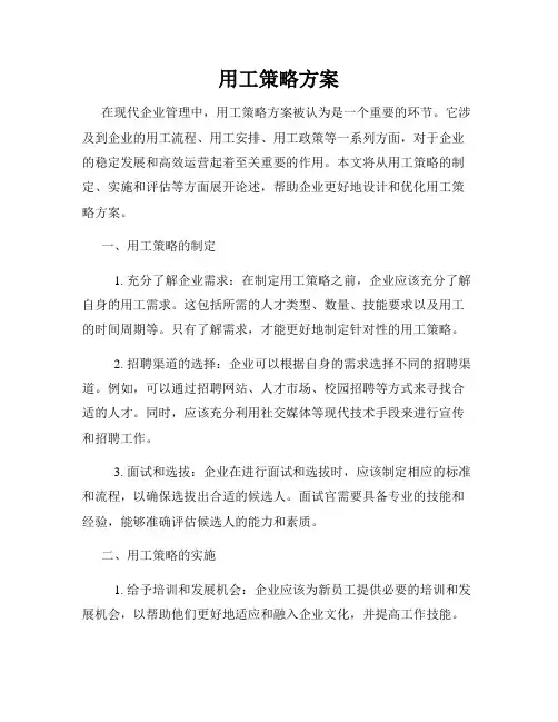 用工策略方案