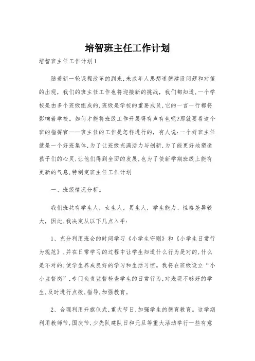培智班主任工作计划