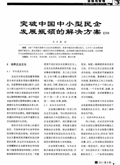 突破中国中小型民企发展瓶颈的解决方案(Ⅳ)