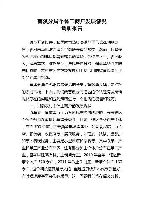曹溪分局个体工商户发展情况调研报告