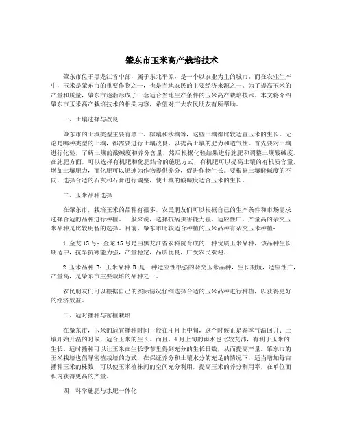 肇东市玉米高产栽培技术