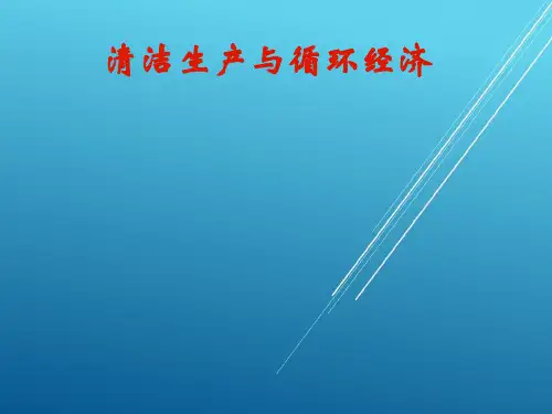 【清洁生产与循环经济】清洁生产与循环经济第一章
