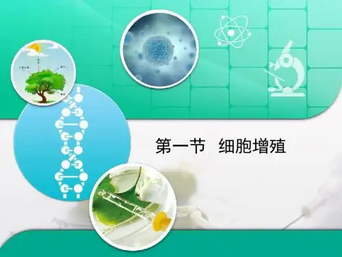苏教版高中生物必修1 5.1《细胞增殖》复习课件