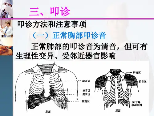 肺部叩听诊PPT课件