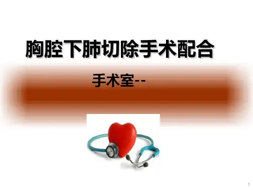 胸腔镜肺叶切除术医学PPT课件