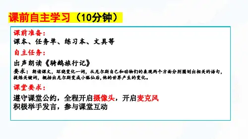 部编版六年级下册语文6骑鹅旅行记(节选)课件(共20张PPT)