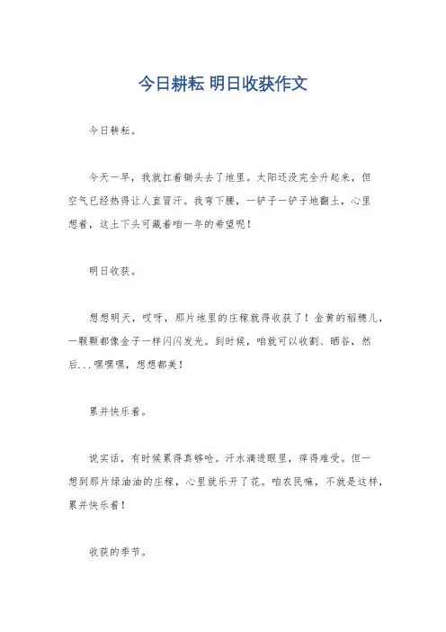 今日耕耘 明日收获作文