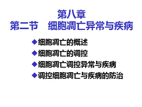 《细胞凋亡》幻灯片PPT