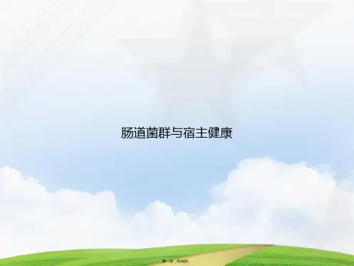 肠道菌群与宿主健康讲课文档