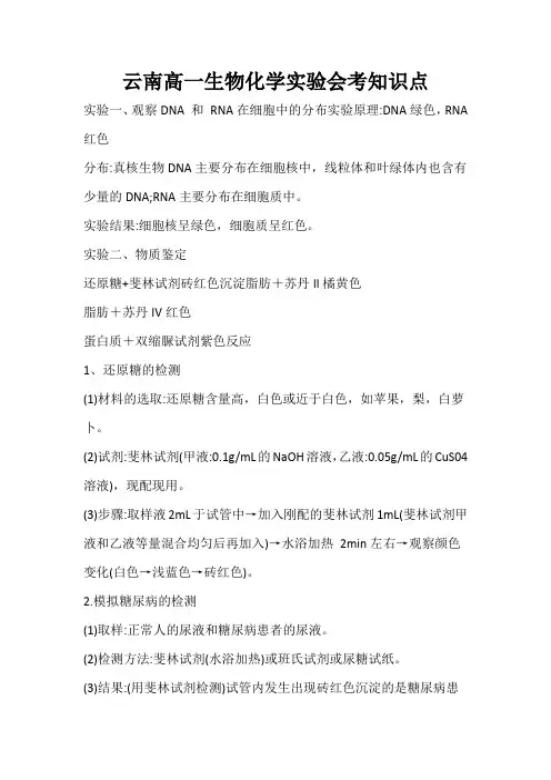 云南高一生物化学实验会考知识点