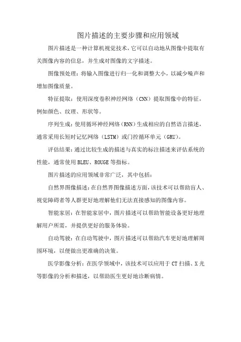 图片描述的主要步骤和应用领域