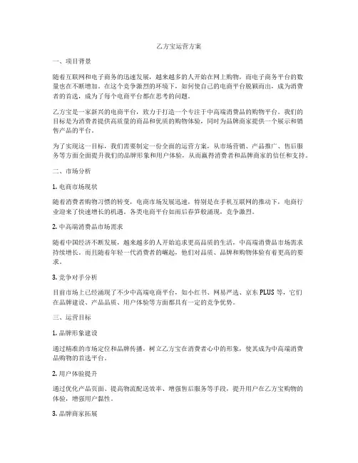 乙方宝运营方案