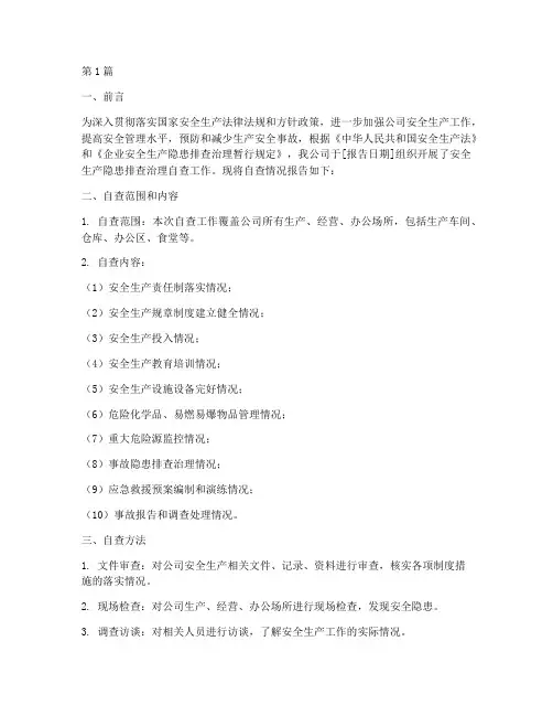 隐患排查公司自查报告(3篇)