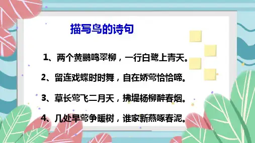 《珍珠鸟》课件(共37张PPT)