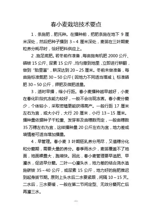 春小麦栽培技术要点