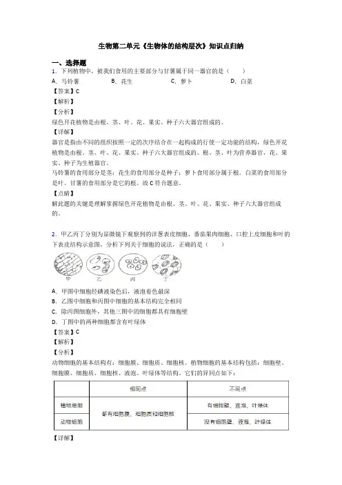 生物第二单元《生物体的结构层次》知识点归纳