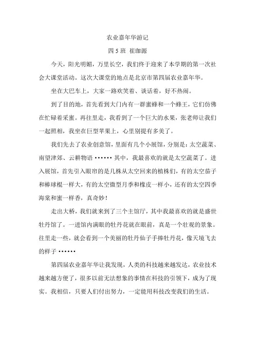 嘉年华游记—崔珈源