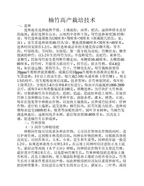 楠竹高产栽培技术