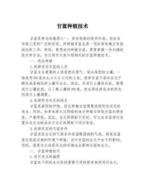 甘蓝种植技术