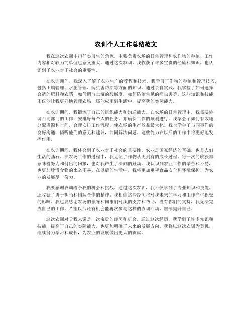 农训个人工作总结范文