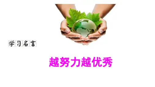 人教新目标七年级下册Unit3 --4综合复习(词组、句式、语法、练习、写作)