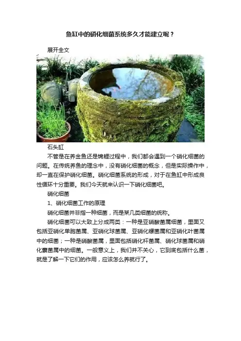 鱼缸中的硝化细菌系统多久才能建立呢？
