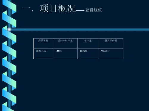 磷铵工艺流程图