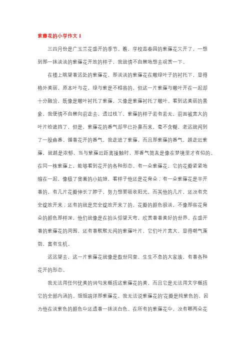 紫藤萝花开作文300字左右