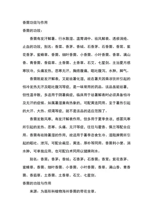 香薷的功效与作用