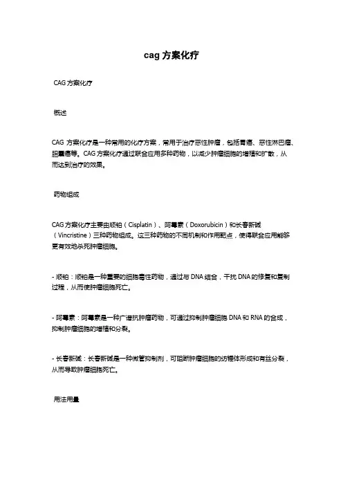 cag方案化疗