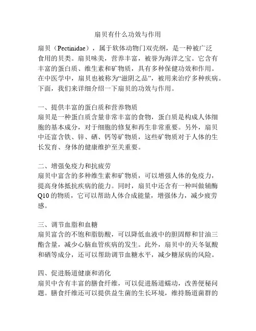 扇贝有什么功效与作用
